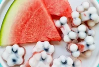 Frozen Watermelon Blueberry Yogurt Dog Treats
Summer Pawsicles: Watermelon Blueberry Yogurt Delights