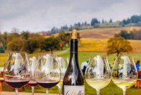Oregon’s Premier Wine Tasting Escapes: Summer 2024