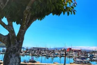 Taste of the Tillamook Coast: Oregon’s Seafood Paradise