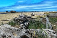 Bandon, Oregon: Your Ultimate Travel Guide