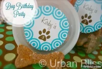 Wholesome Oat Dog Biscuits