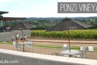 Ponzi Vineyards: A Legacy of Oregon Wine
