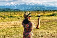 Kazakhstan Wine: A Journey Through Time and Taste