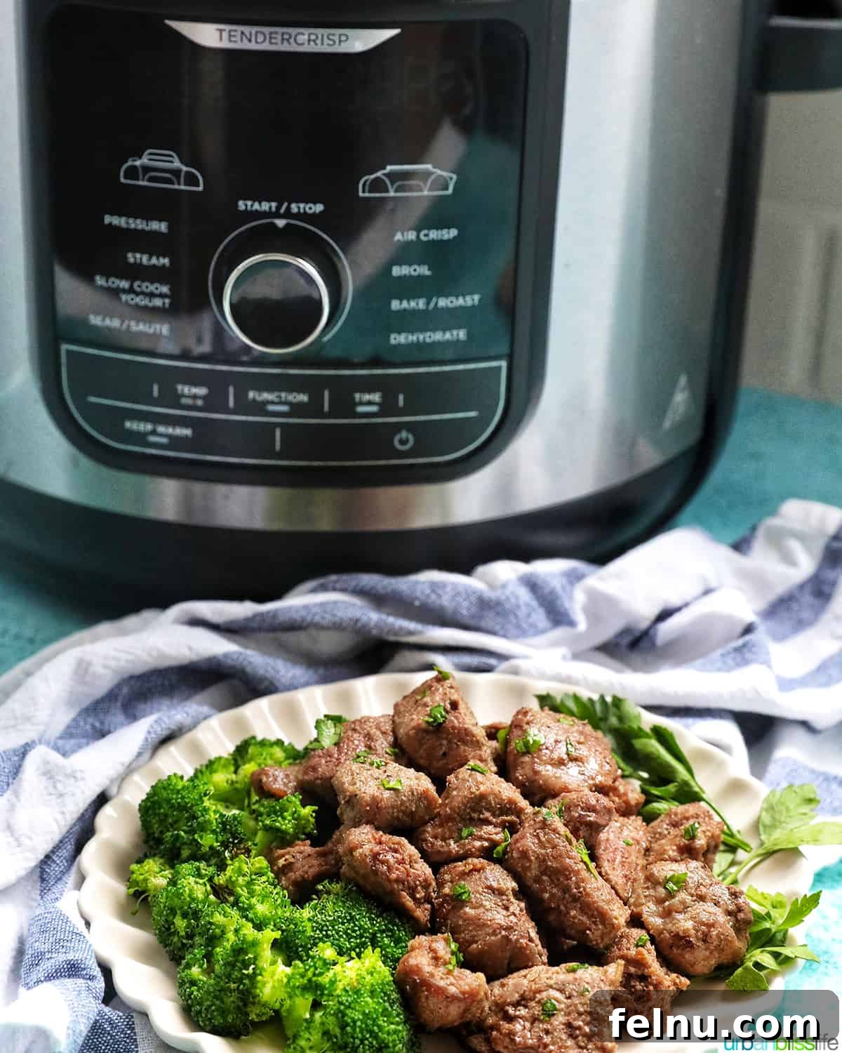 Effortless Air Fryer Steak Morsels 15 air fryer steak bites with chopped parsley garnish and a side of broccoli on a plate in front of an air fryer.