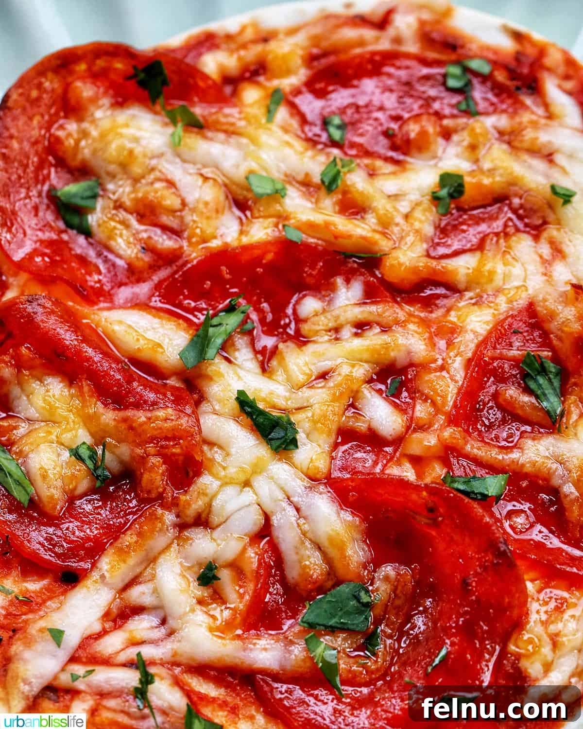 Air Fryer Pizza Bites 3 Closeup of Air Fryer Mini Pizza