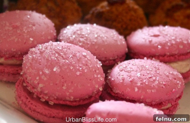 Feast Portland: A Culinary Retrospective 7 Feast Portland 2013 - Pink Macarons