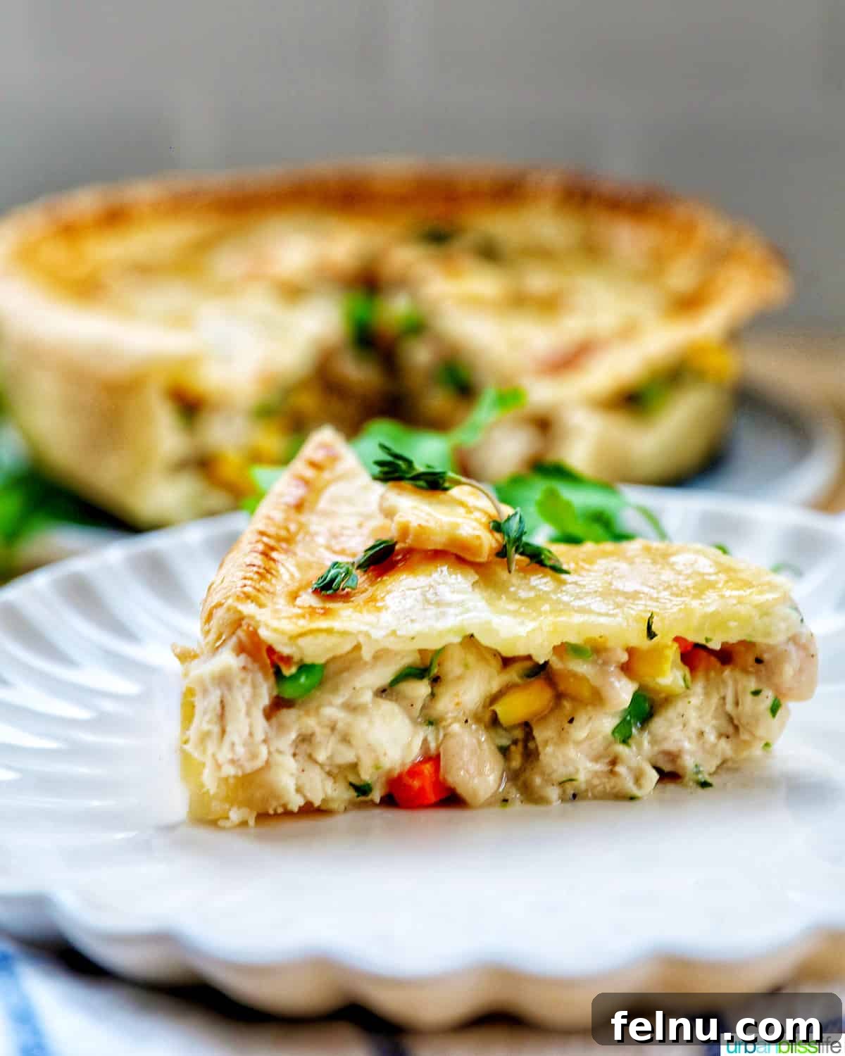 Flaky Air Fryer Chicken Pot Pie 2 slice of air fryer chicken pot pie on a plate with a full chicken pot pie behind it.