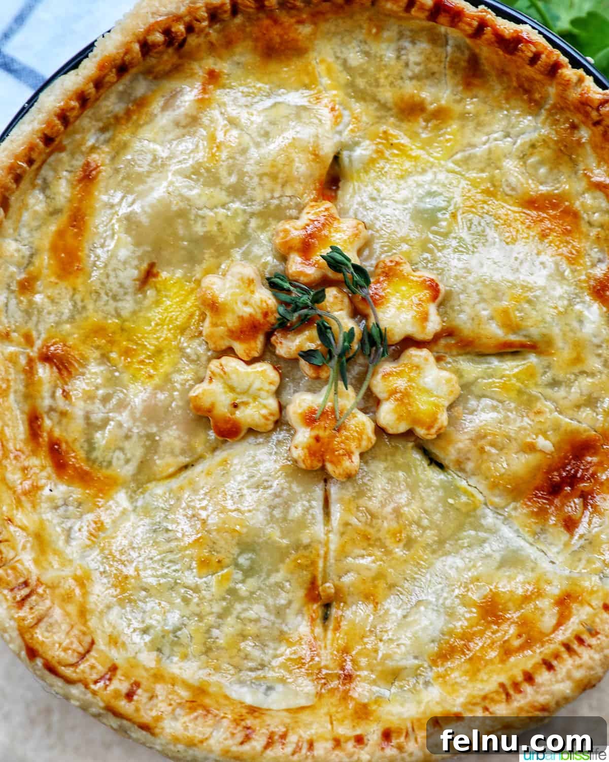 Flaky Air Fryer Chicken Pot Pie 18 top crust of air fryer chicken pot pie.