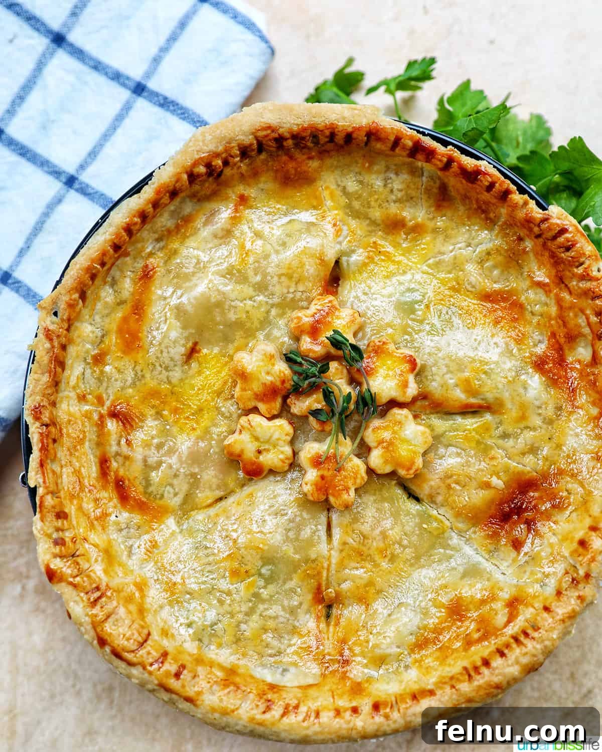 Flaky Air Fryer Chicken Pot Pie 19 air fryer chicken pot pie with a checkered blue and white napkin and garnished with herbs.
