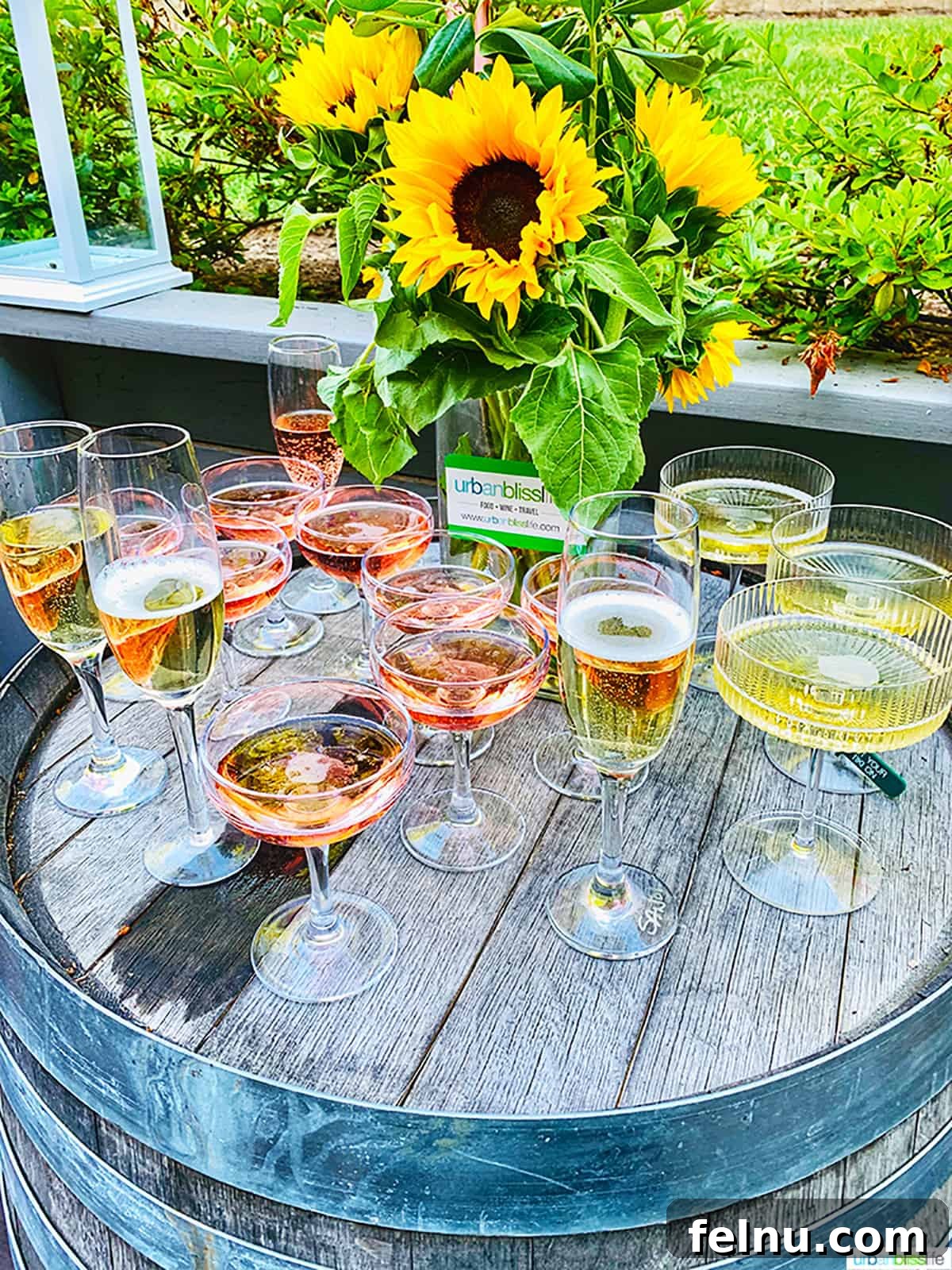 The Perfect Wine to Serve with Lasagna 6 Rosé wine and Champagne glasses