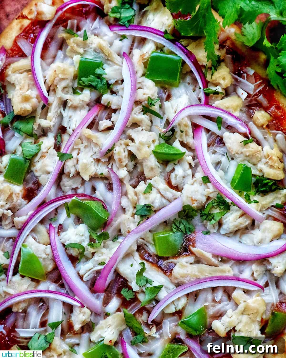 BBQ Chicken Flatbread Feast 10 Close-up shot of a freshly baked BBQ chicken flatbread with all the toppings.