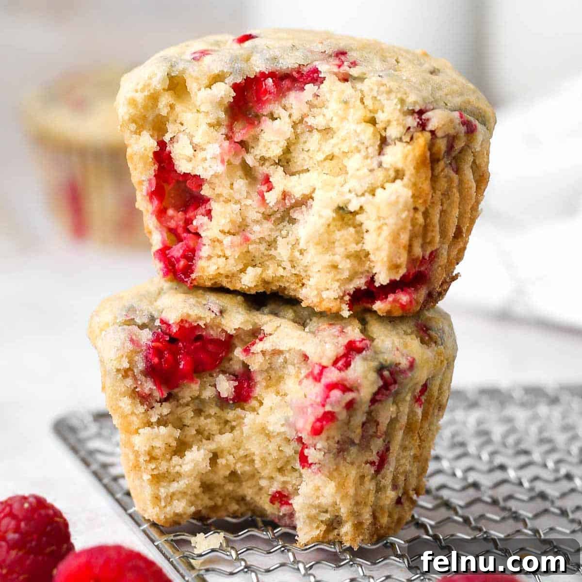 Healthy Vegan Raspberry Muffins (Oil-Free)