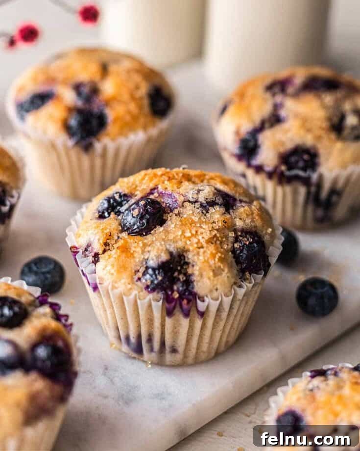 Vegan Blueberry Muffins