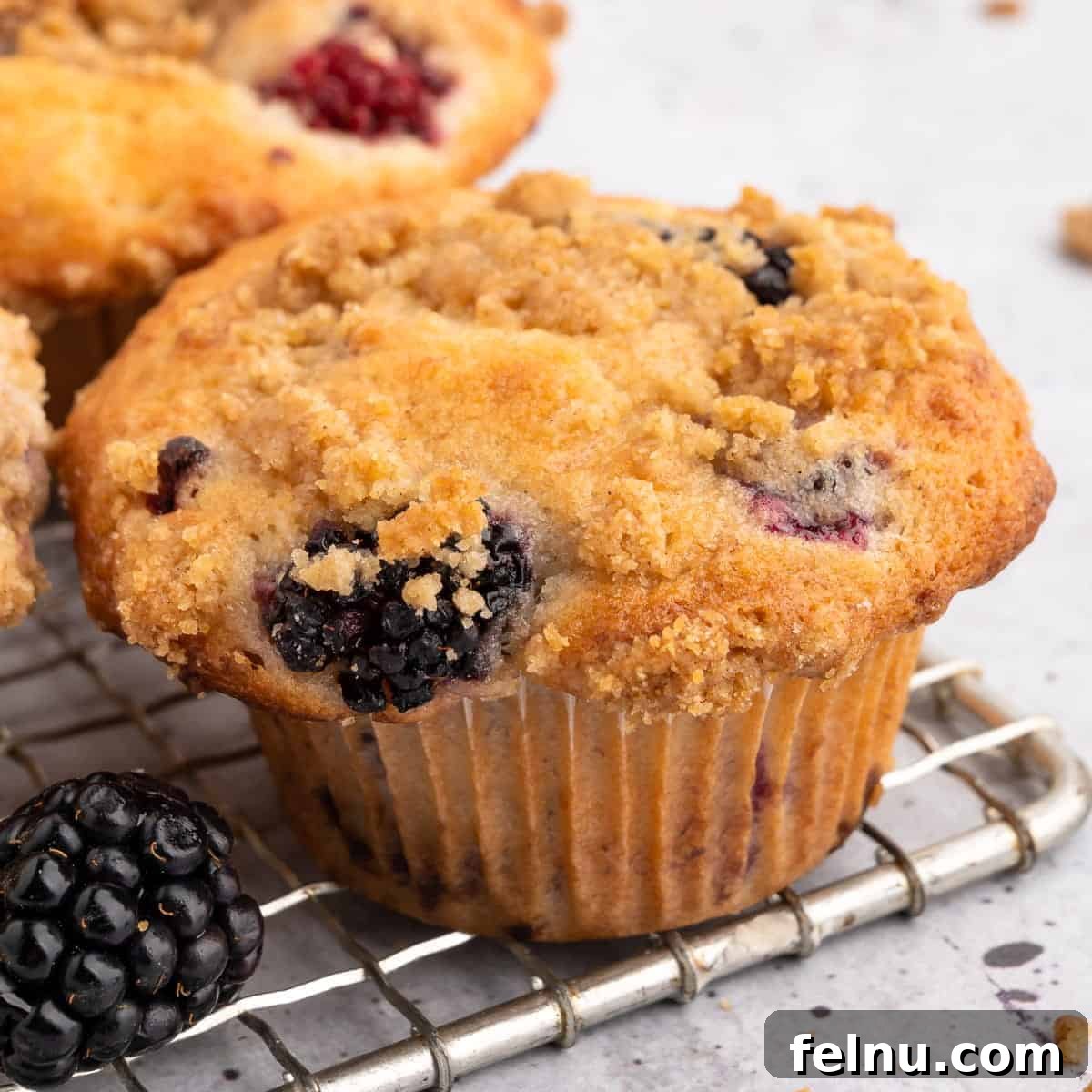Vegan Blackberry Muffins