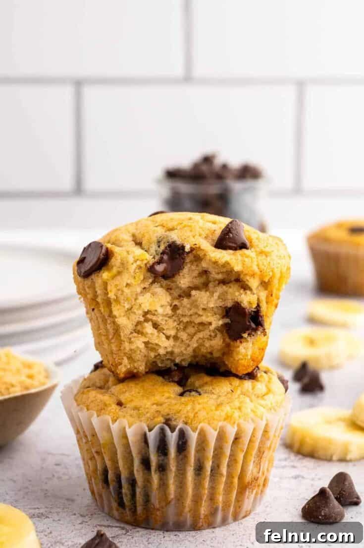5 Ingredient Banana Muffins
