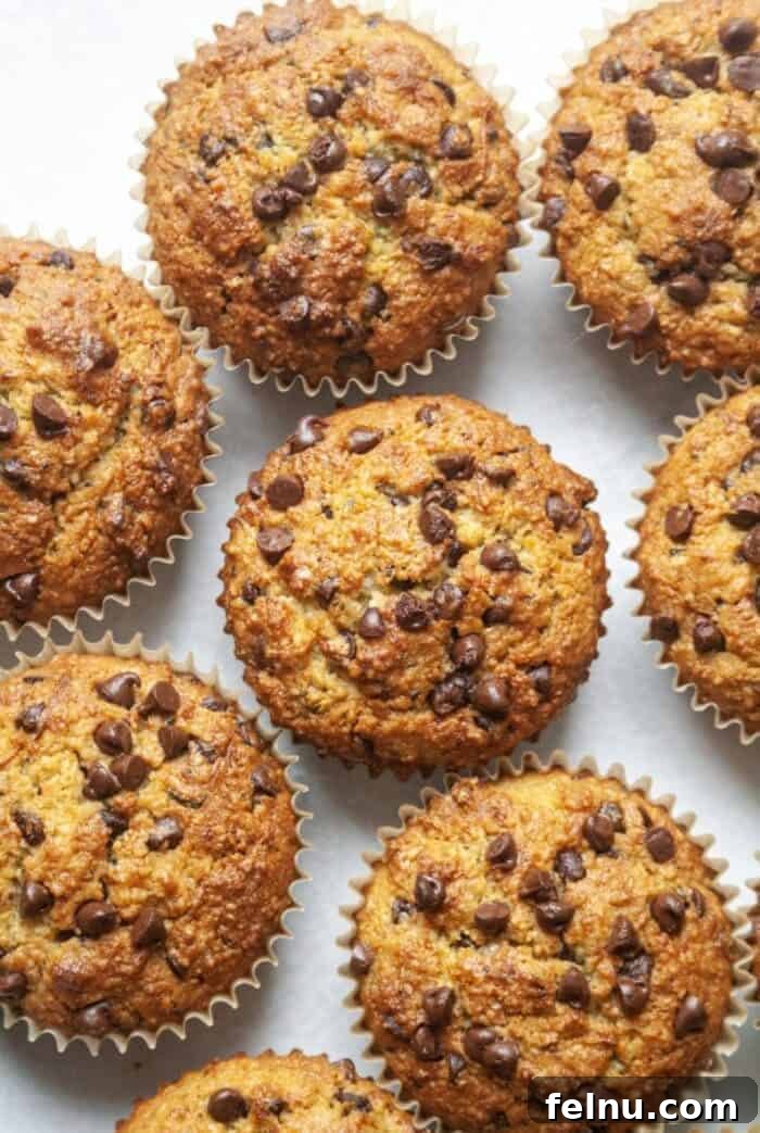 Paleo Chocolate Chip Zucchini Muffins