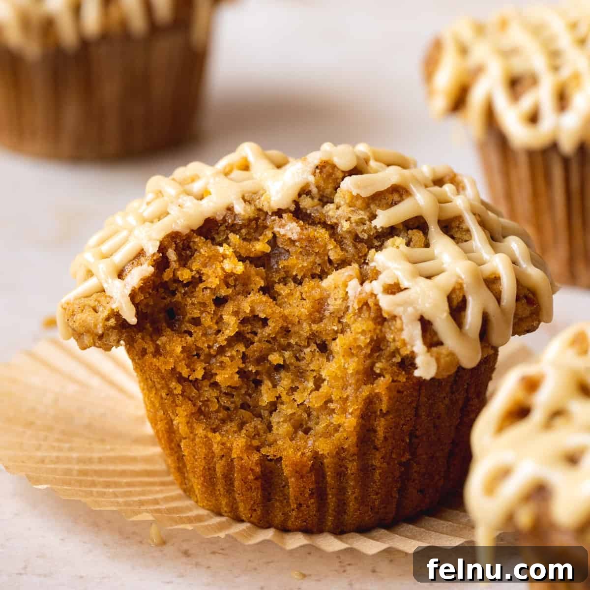 Vegan Pumpkin Muffins
