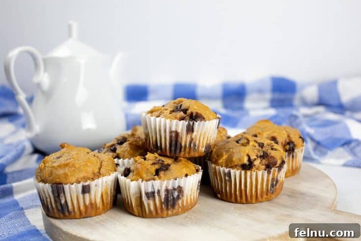 Sweet Potato and Chocolate Chip Muffins
