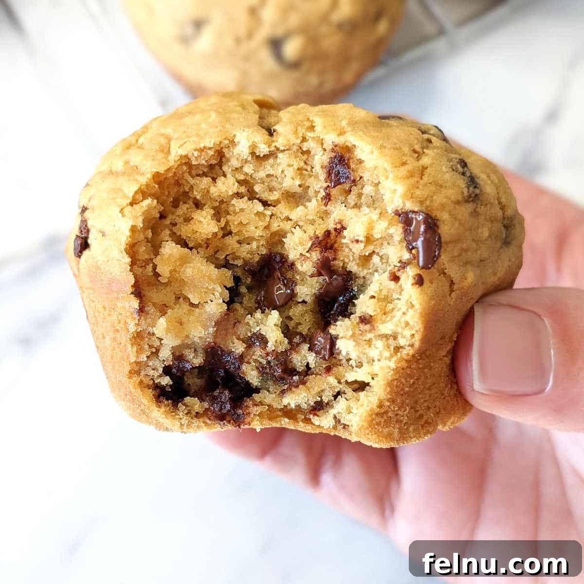Chocolate Chip Vegan Muffins