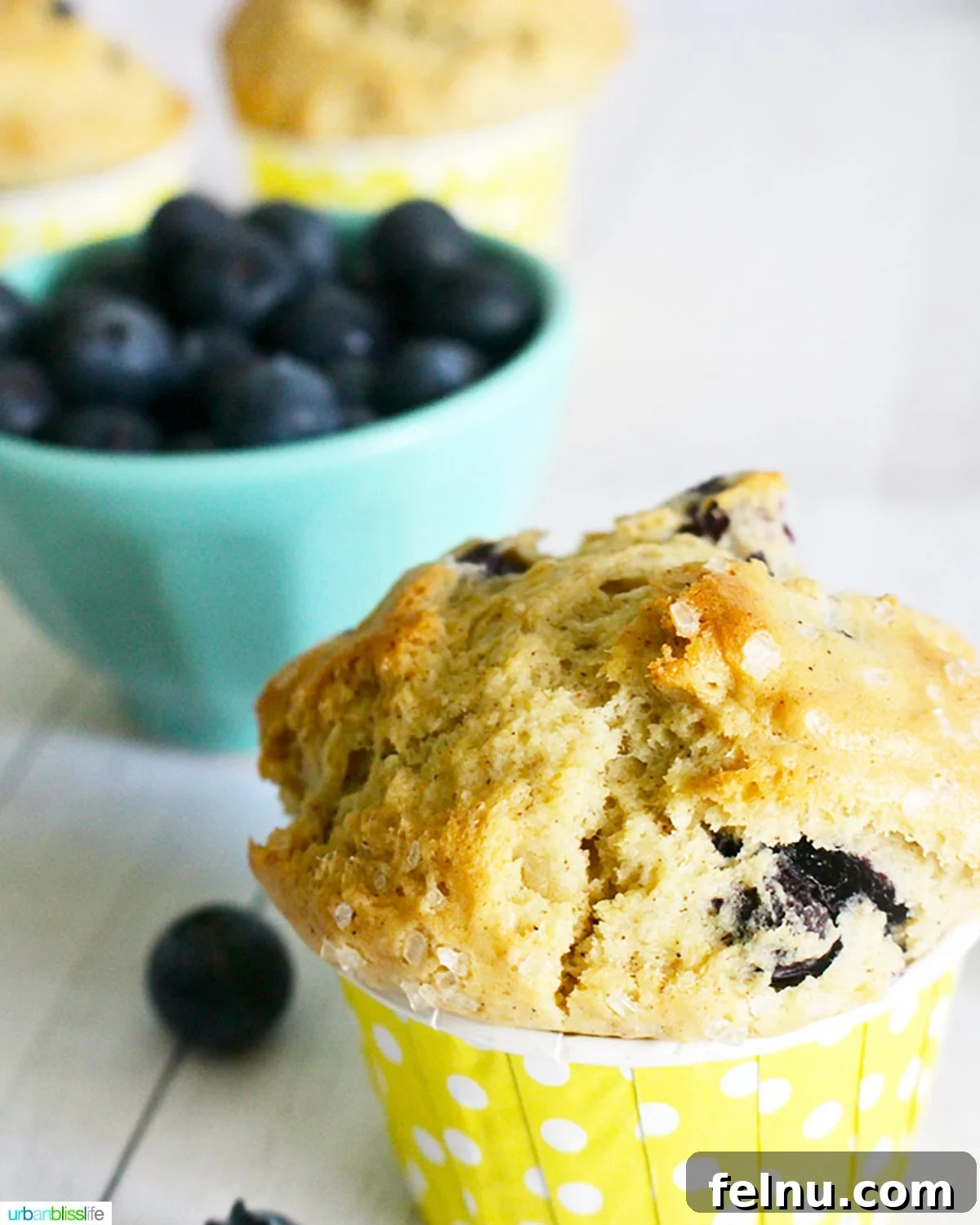 Over 25 Delicious Dairy-Free Muffins 4 Delicious dairy-free lemon blueberry muffins.