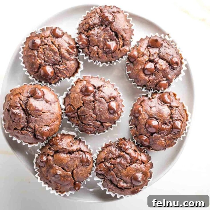Double Chocolate Zucchini Muffins