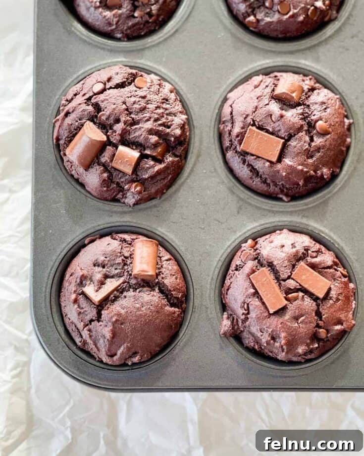 Allergen Friendly Double Chocolate Muffin