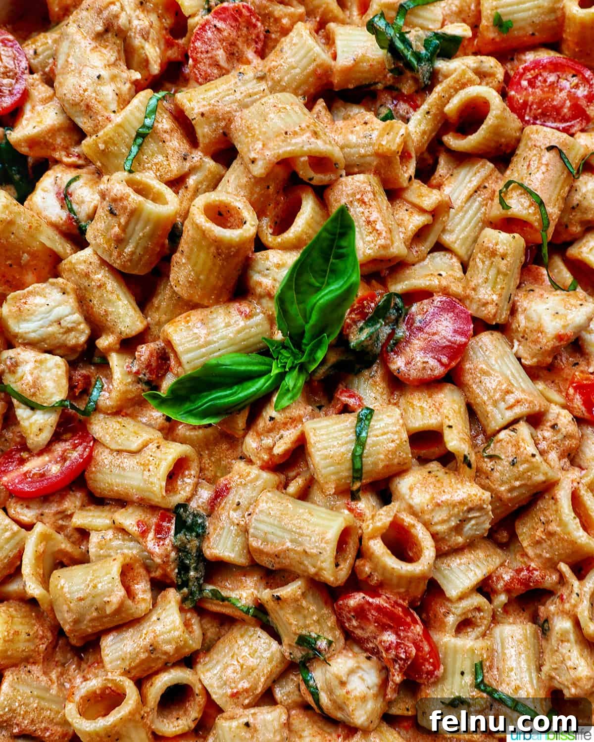 Velvety Tuscan Chicken Pasta 2 Rigatoni pasta in a creamy Tuscan sauce with chicken, tomatoes, and herbs, served in a rustic bowl.