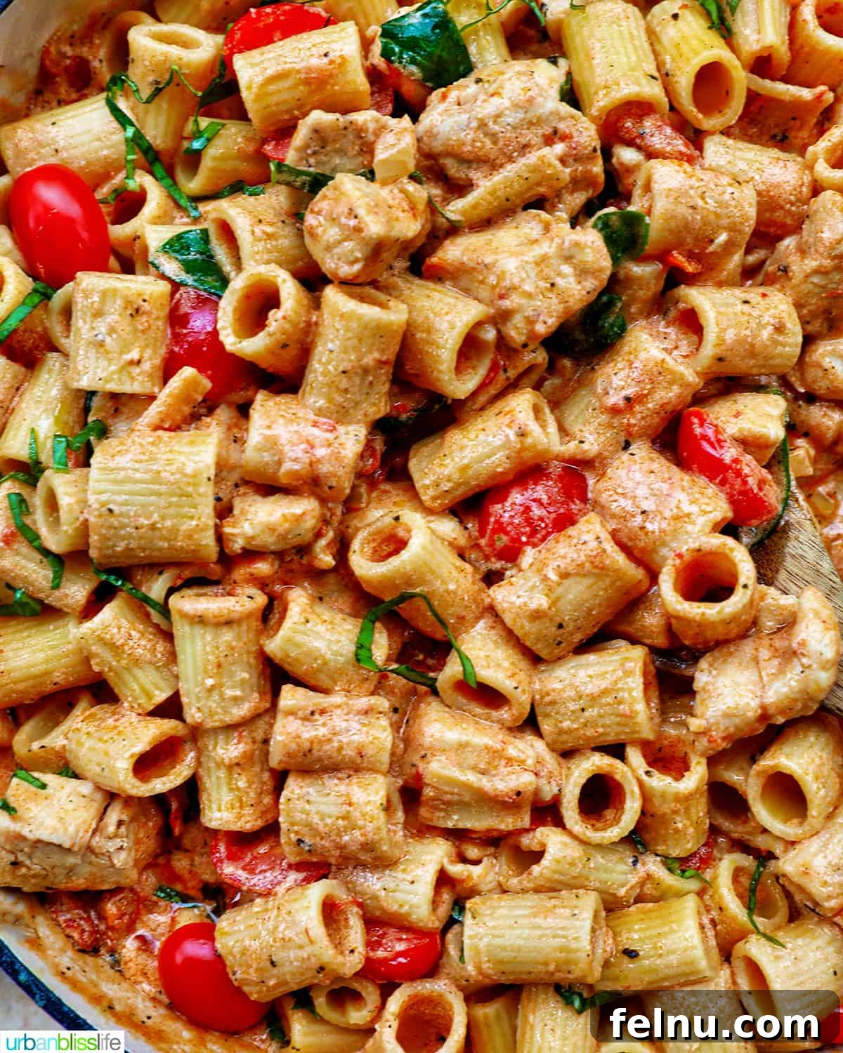 Velvety Tuscan Chicken Pasta 18 A serving of creamy Tuscan pasta with chicken, garnished with fresh basil, in a white bowl with a fork.