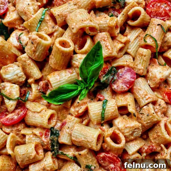 Velvety Tuscan Chicken Pasta 21 Rigatoni pasta in a creamy Tuscan sauce with chicken, tomatoes, and herbs, served in a featured dish.