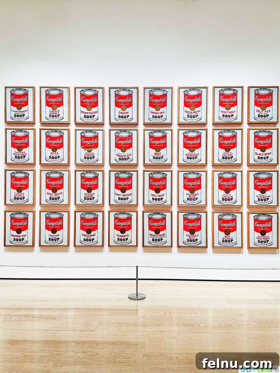 Four-Day New York City Getaway 11 Andy Warhol's Soup Cans at MoMA