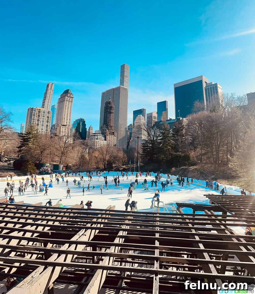 Four-Day New York City Getaway 14 Ice skating in Central Park