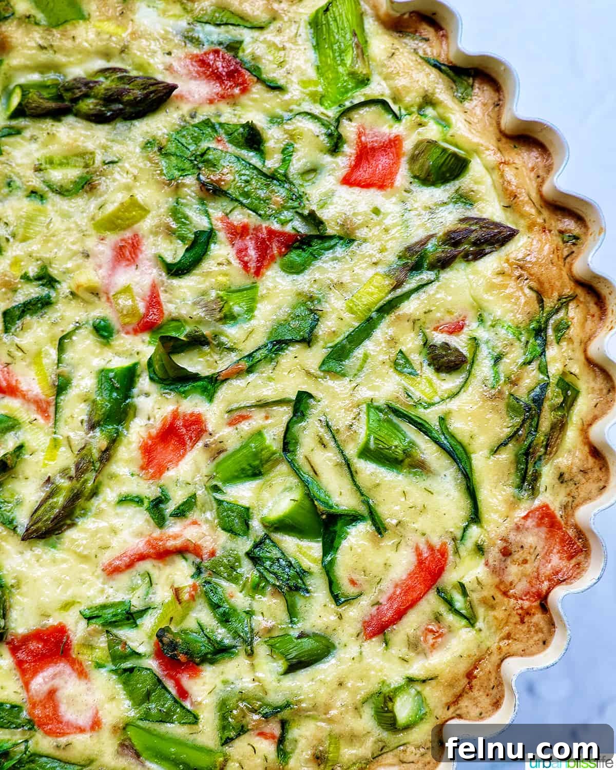 Smoked Salmon & Dill Quiche 2 A perfectly baked Salmon Quiche in a pie pan, showcasing visible chunks of salmon, fresh asparagus, and sliced leeks.