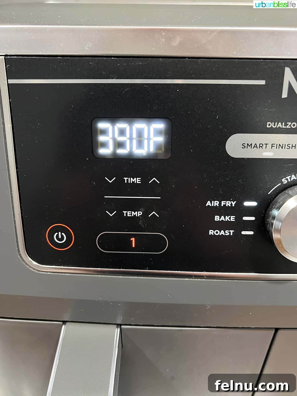 Crispy Air-Fried Delights 19 Ninja Foodi Dual Zone Air Fryer