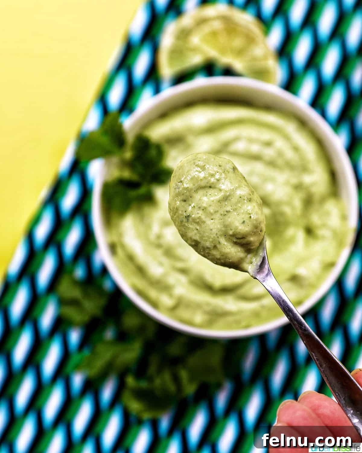 Avocado-Lime Crema, Cilantro Kissed 8 Spoonful of Avocado Cilantro Lime Crema