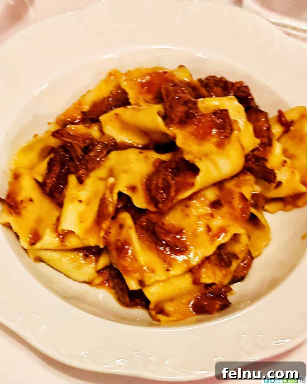 Via Carota NYC: West Village's Authentic Italian Experience 10 Hearty Pappardelle pasta with a rich wild boar ragu, a rustic and flavorful dish served at Via Carota.