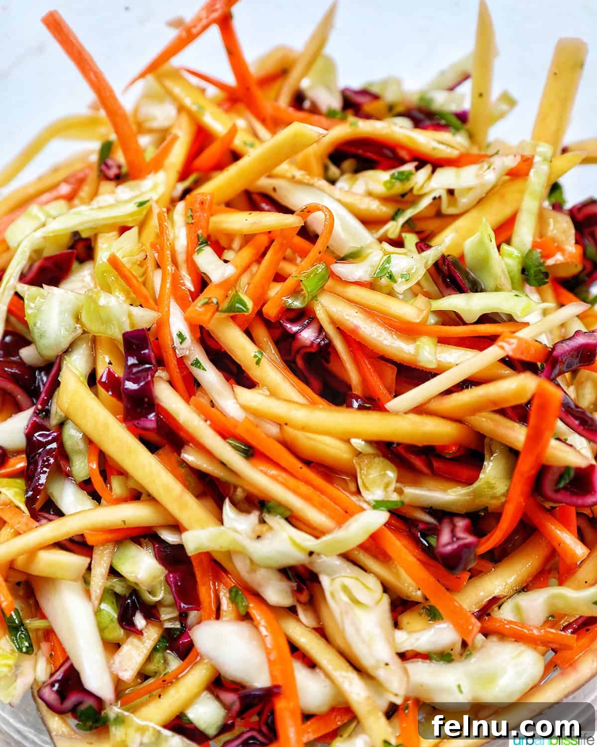 Mango Coleslaw 12 Mango slaw with cabbage, carrots, red bell pepper, mango.