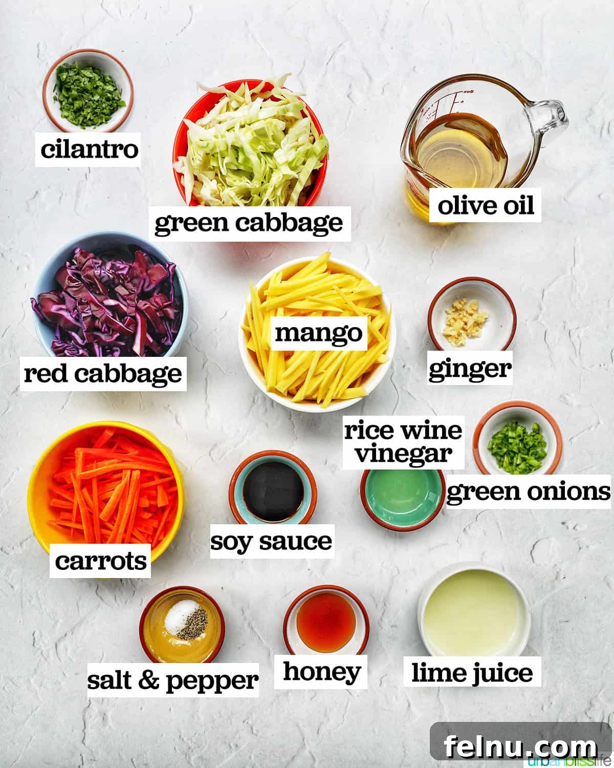 Mango Coleslaw 4 Bowls of ingredients to make mango slaw.