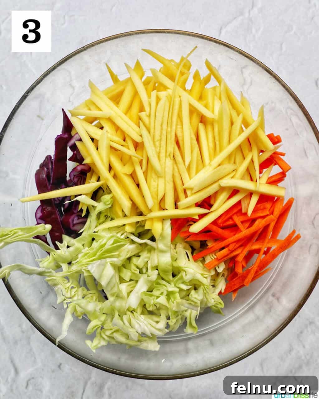 Mango Coleslaw 7 Bowl of mango, carrot, bell pepper, cabbage.