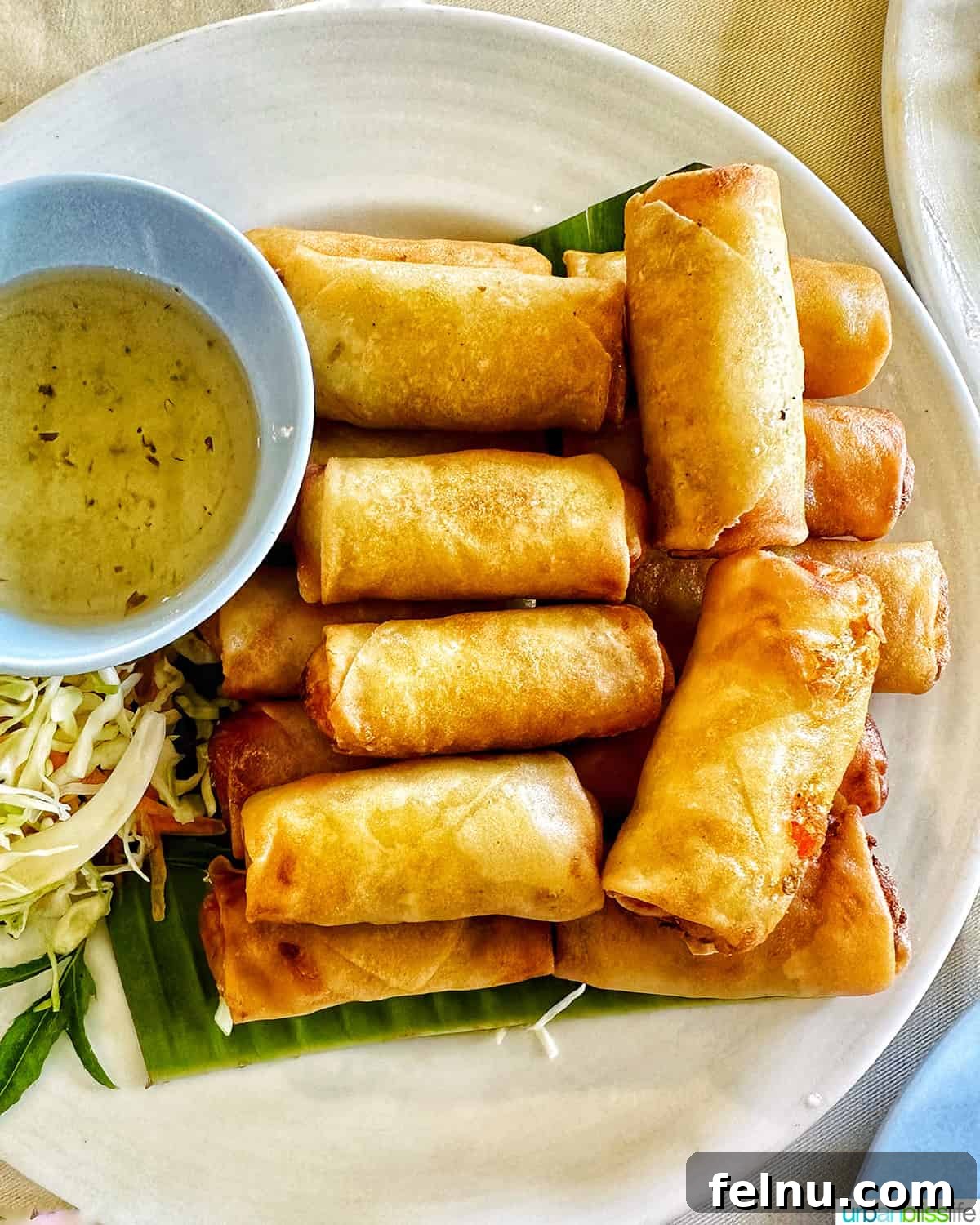 Must-Try Thai Dishes 12 stacks of Thai spring rolls on a plate with a side of sauce.