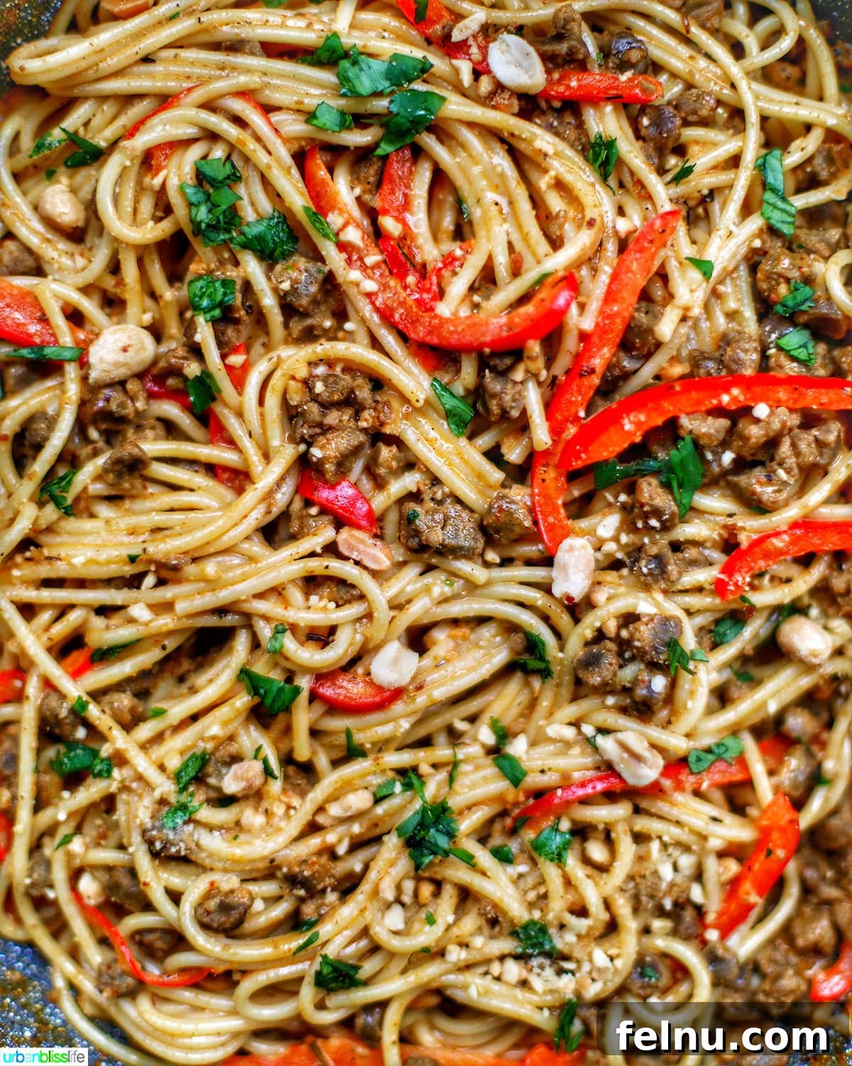 Must-Try Thai Dishes 15 super closeup of Thai Red Curry Vegan Noodles