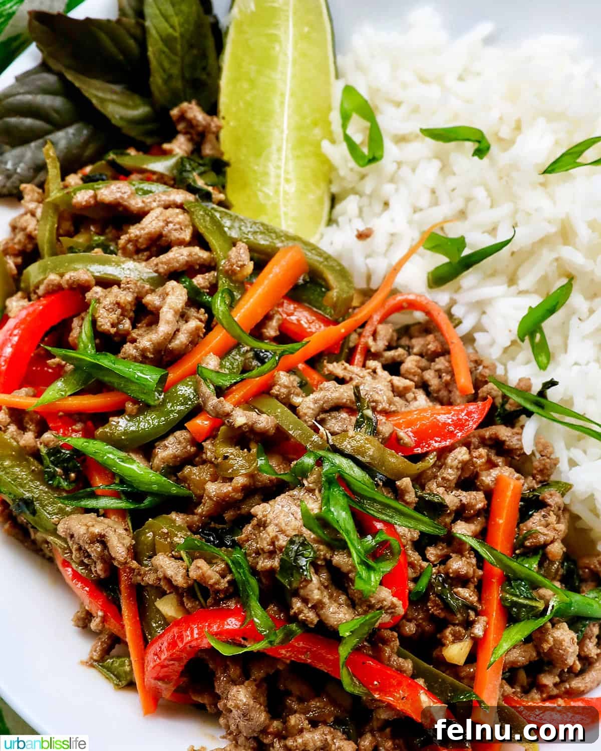 Must-Try Thai Dishes 19 Thai basil beef with red peppers, green onions, and white rice.