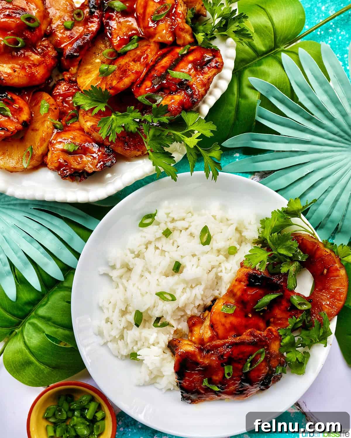 Hawaiian Grilled Chicken with Pineapple Glaze 15 Hawaiian BBQ chicken and rice