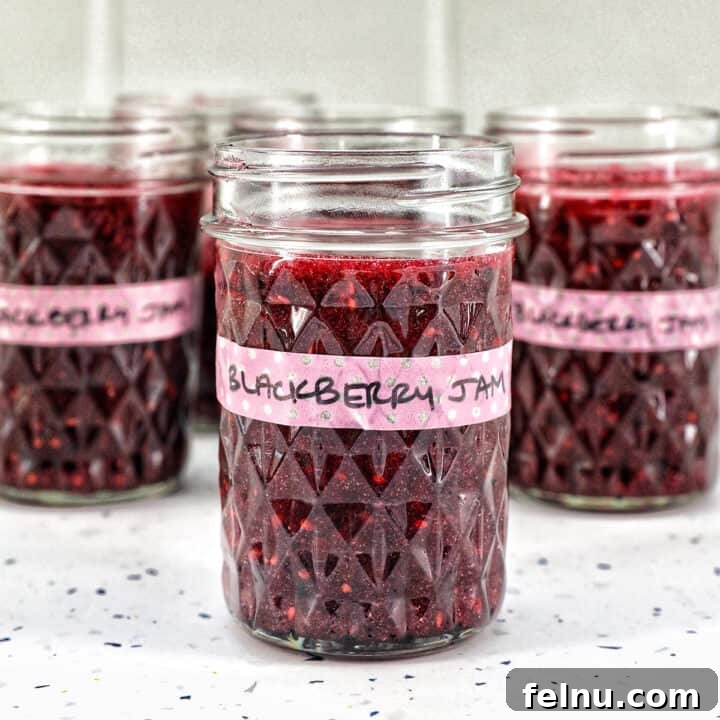Homemade No-Cook Blackberry Jam 20 mason jars filled with blackberry freezer jam.