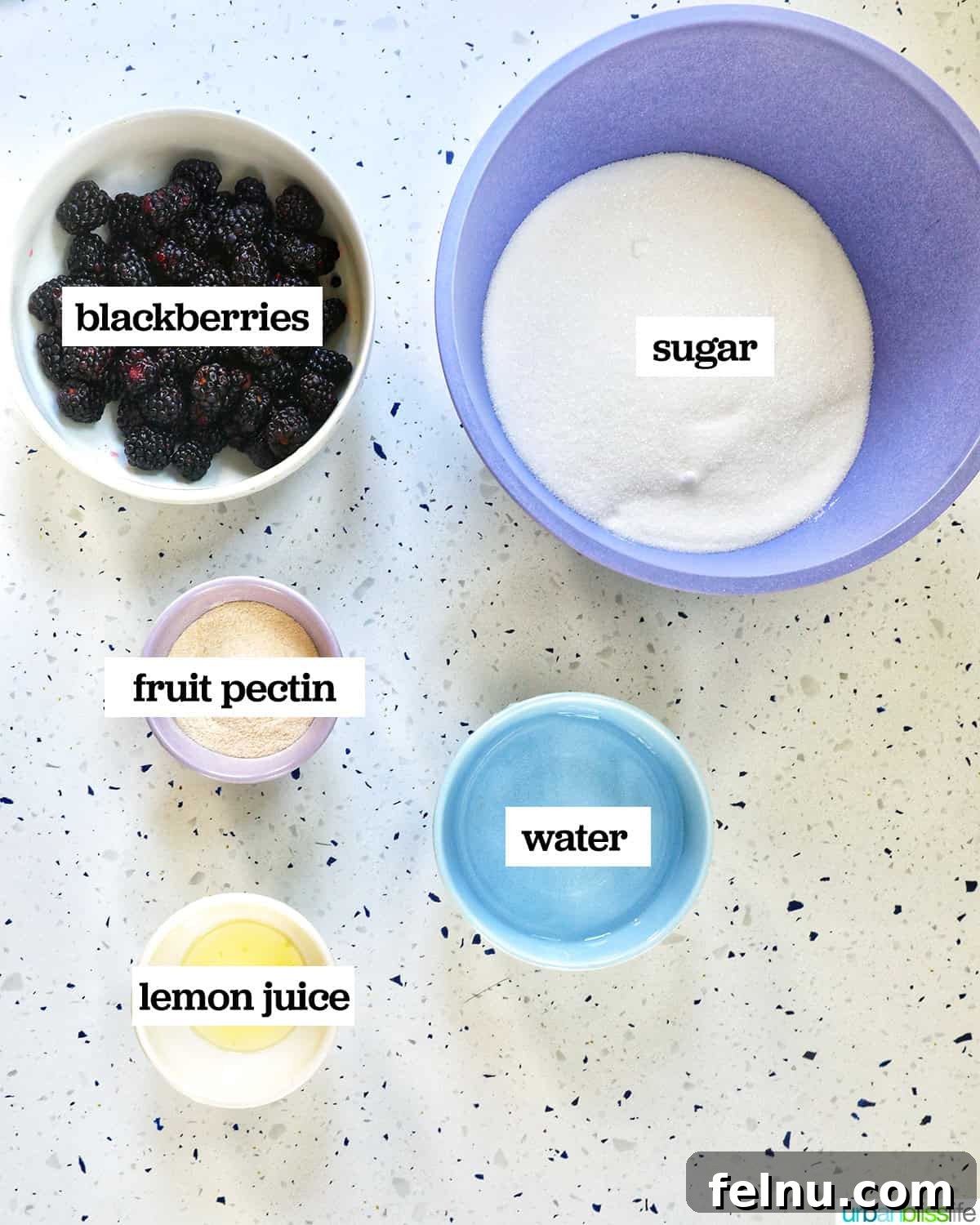 Homemade No-Cook Blackberry Jam 5 bowls of ingredients to make blackberry freezer jam.