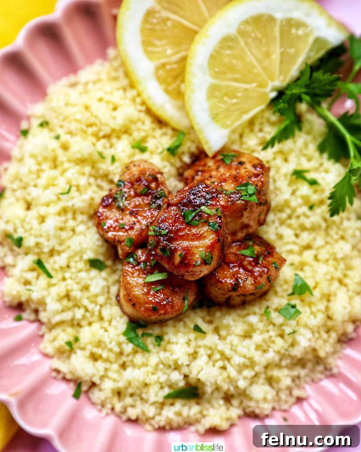 Cast iron seared scallops on a bed of couscous garnished with herbs and lemon slices.