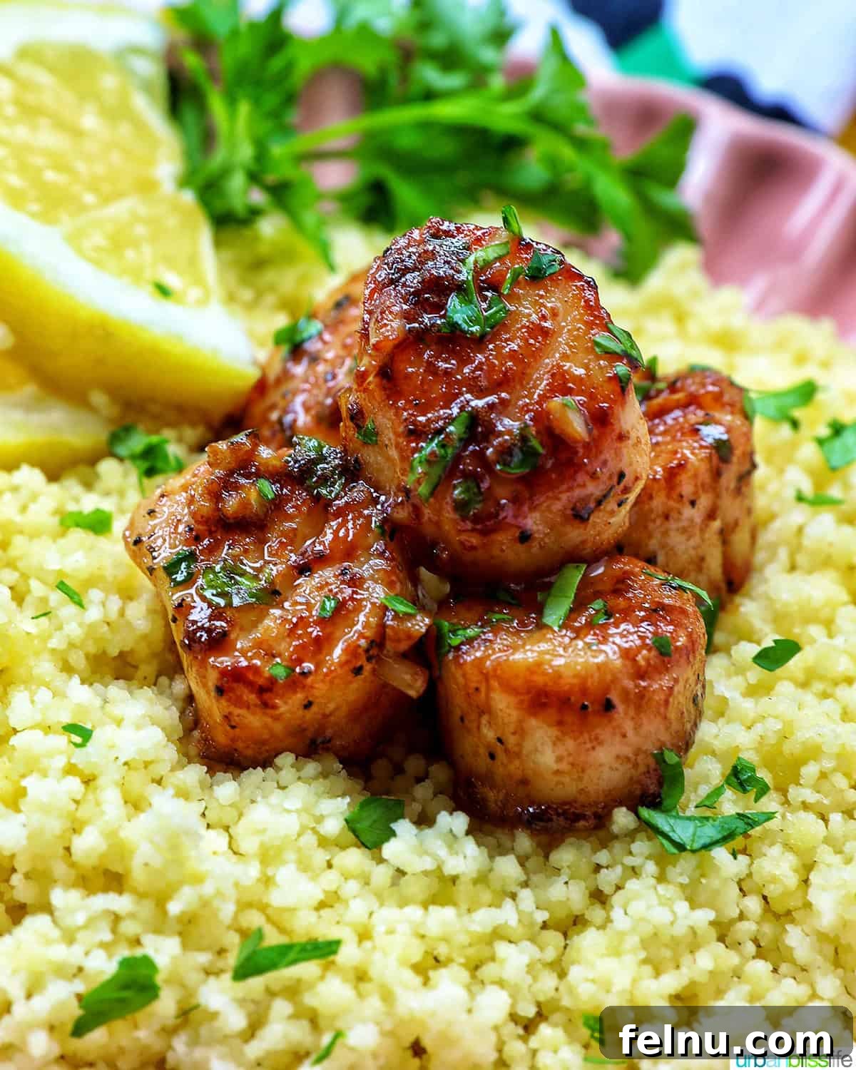 Cast iron seared scallops on a bed of couscous garnished with herbs and lemon slices.