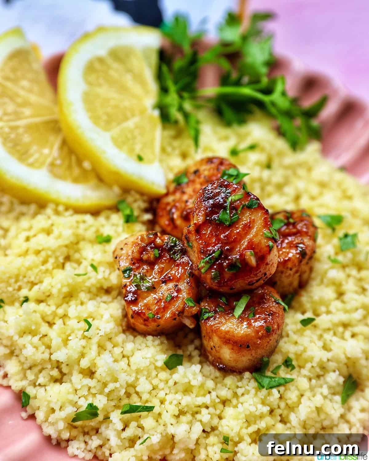 Cast iron seared scallops on a bed of couscous garnished with herbs and lemon slices.