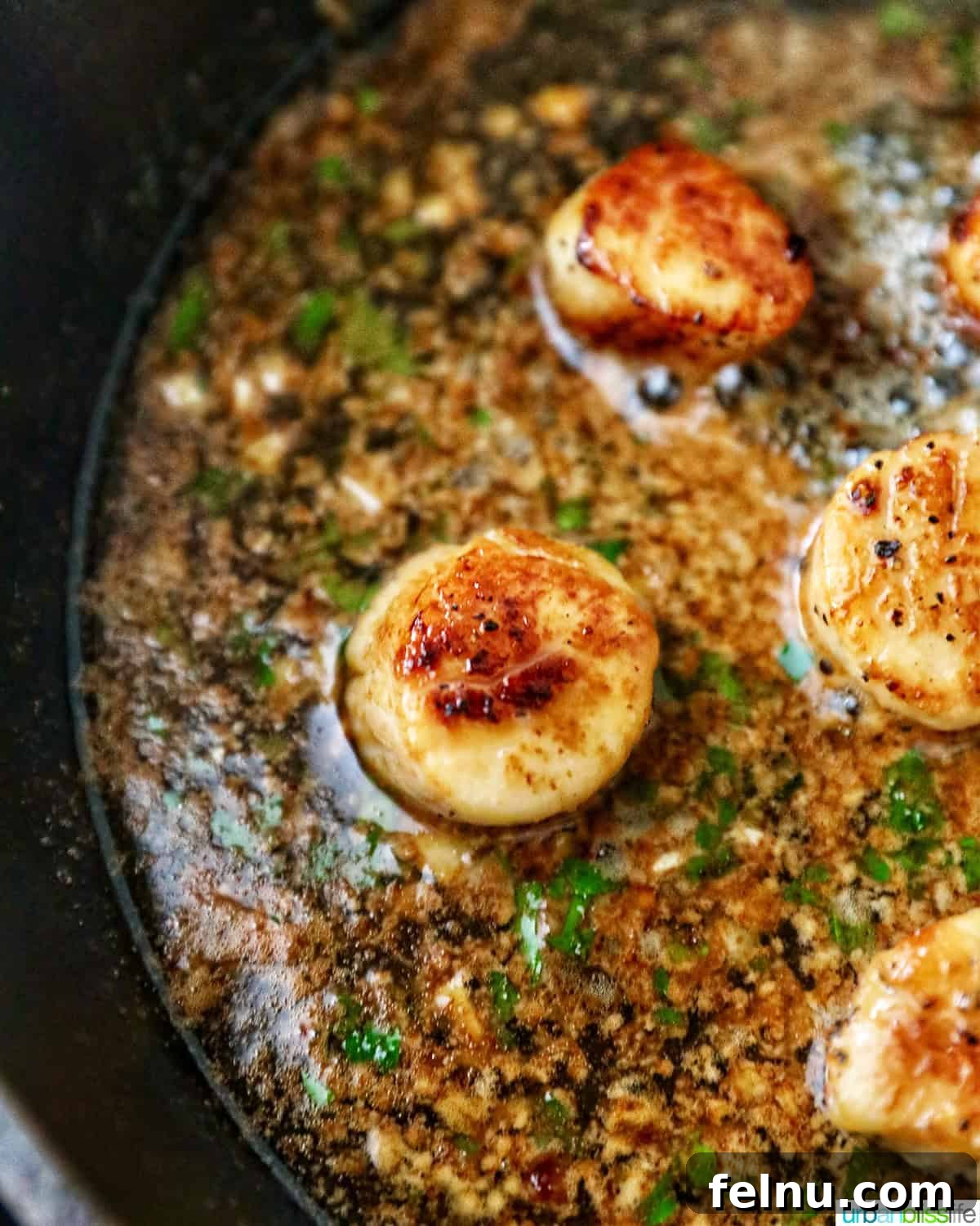 Seared scallops in a cast iron skillet with butter garlic herb sauce.