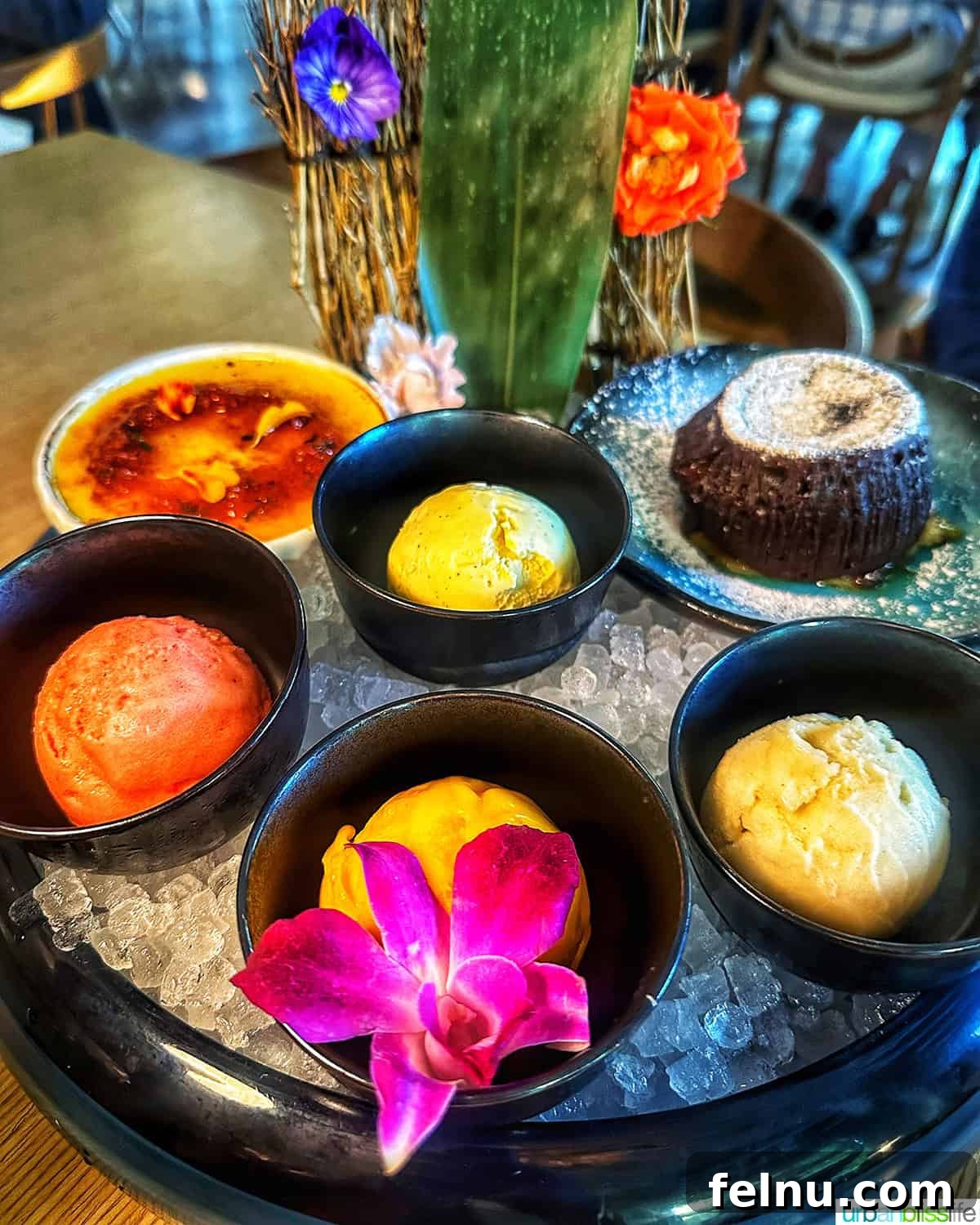 Portland's Premier Asian Fusion: Janken 14 Desserts at Janken in Portland