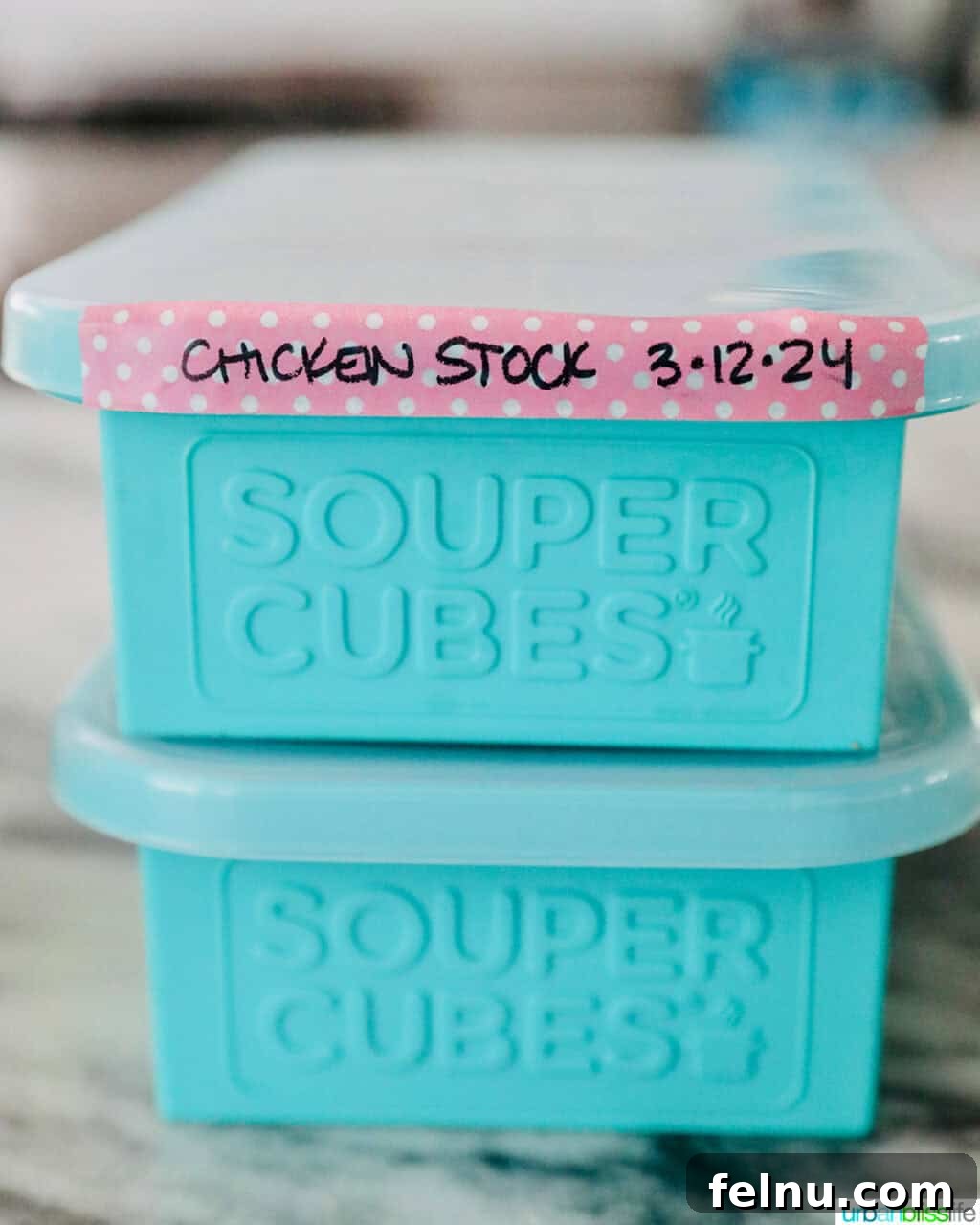 Souper Cubes labeled 'chicken stock'